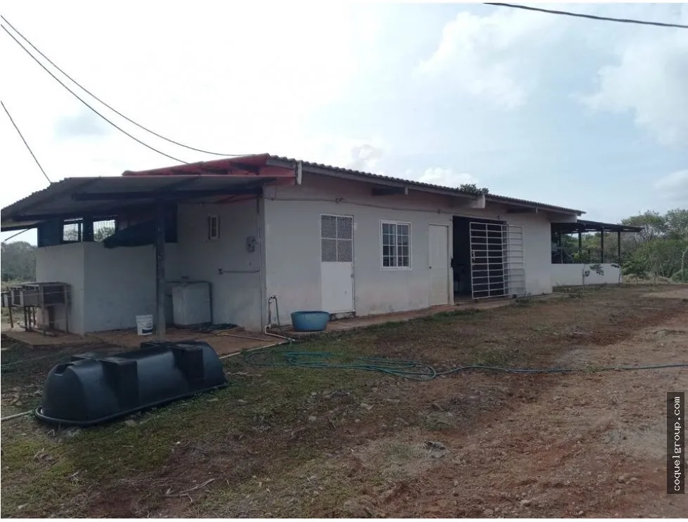 Land/Farm for sale in Chorrera