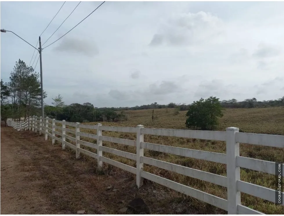 Land/Farm for sale in Chorrera