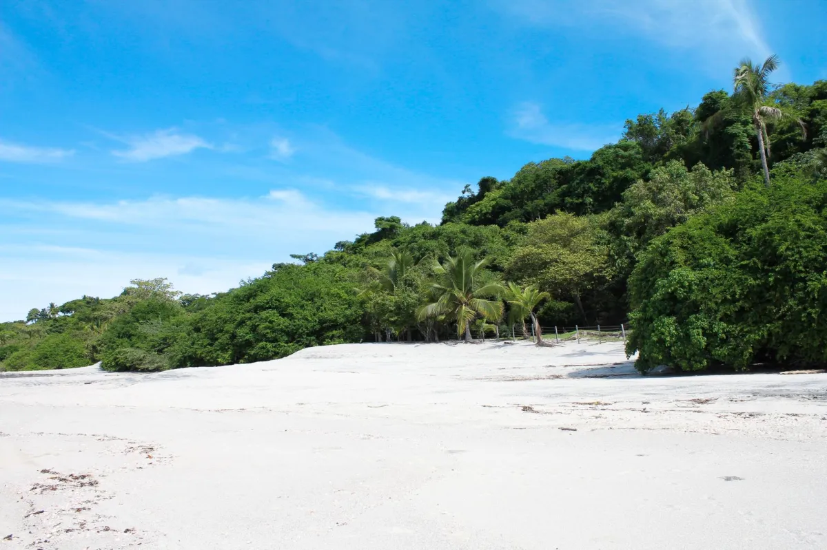 Oceanfront Land for Sale in Río Hato | 18 Hectares
