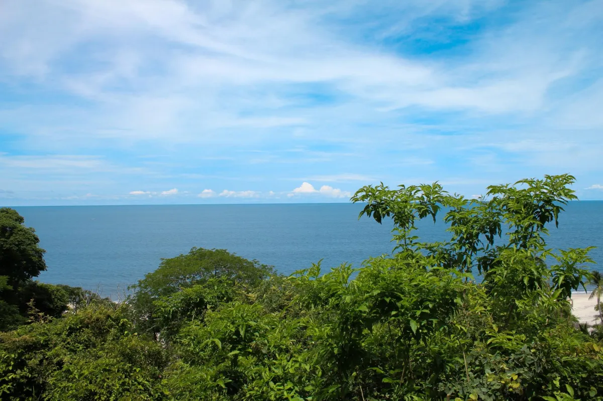 Oceanfront Land for Sale in Río Hato | 18 Hectares