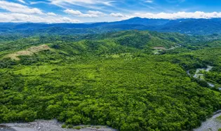 Nearly 4 Hectares of Land for Sale in Bijagual