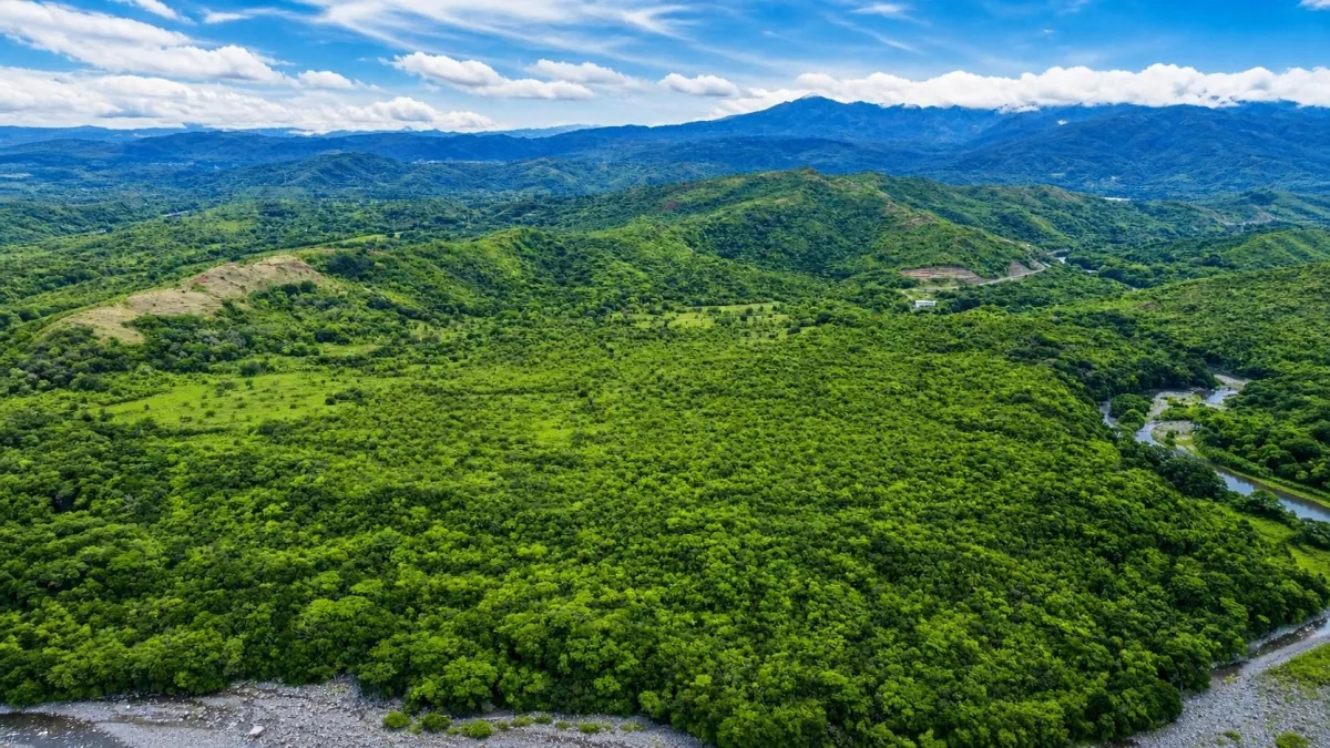 Nearly 4 Hectares of Land for Sale in Bijagual