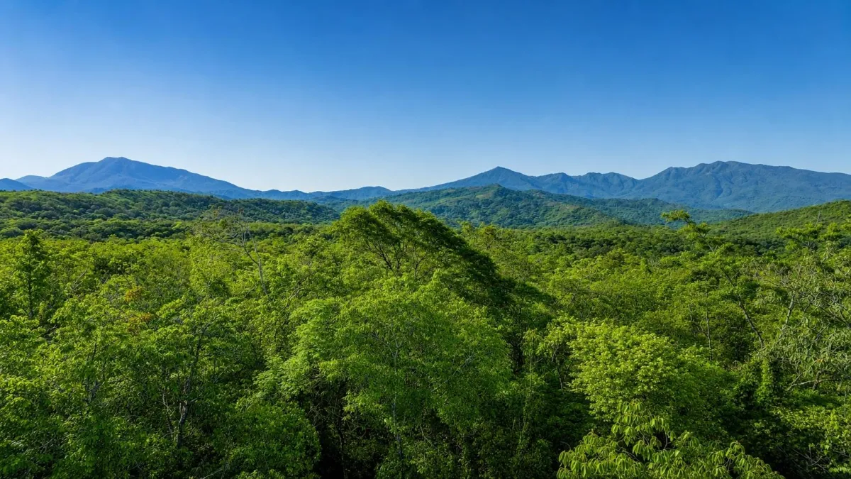 Nearly 4 Hectares of Land for Sale in Bijagual