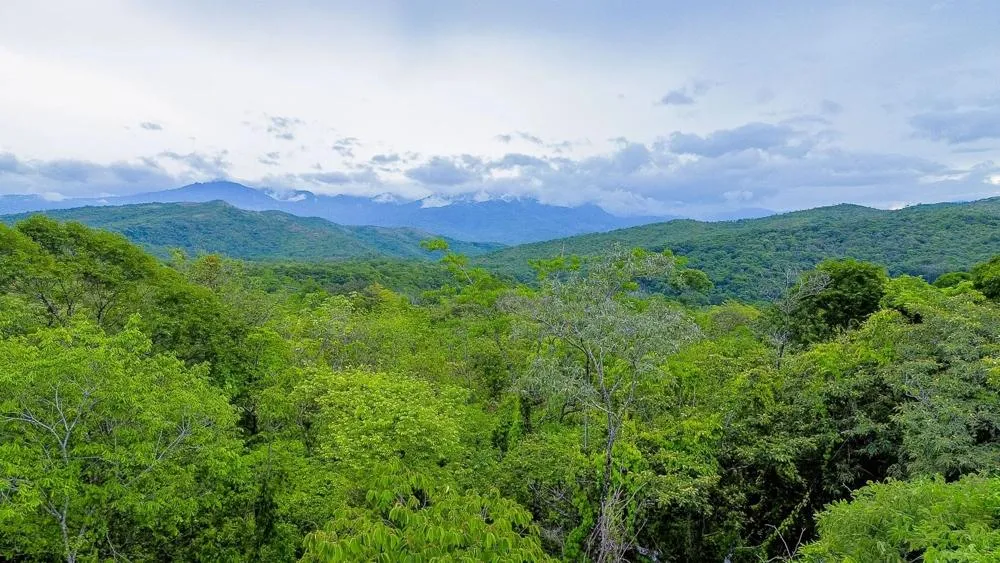 Nearly 4 Hectares of Land for Sale in Bijagual
