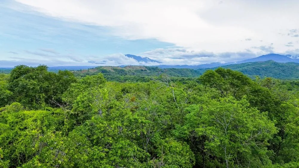 Nearly 4 Hectares of Land for Sale in Bijagual