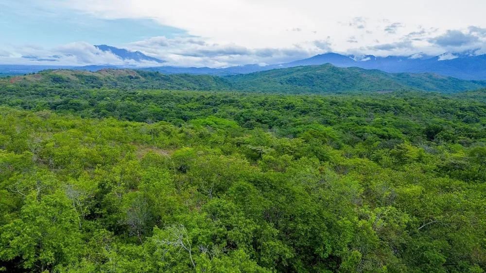 Nearly 4 Hectares of Land for Sale in Bijagual
