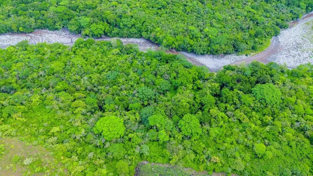 Nearly 4 Hectares of Land for Sale in Bijagual