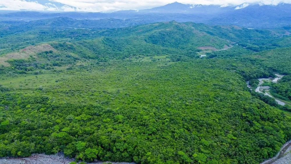 Nearly 4 Hectares of Land for Sale in Bijagual