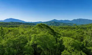Terreno de 1 Hectárea en venta en Bijagual, Gualaca