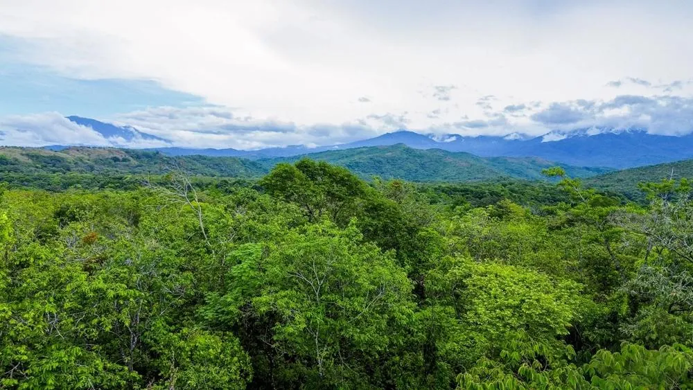 Terreno de 1 Hectárea en venta en Bijagual, Gualaca
