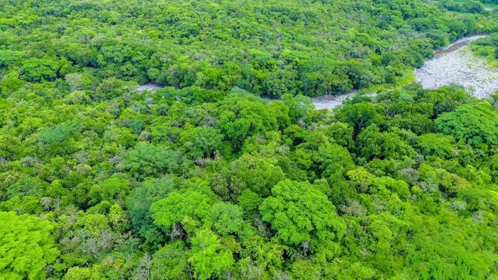 Terreno de 1 Hectárea en venta en Bijagual, Gualaca