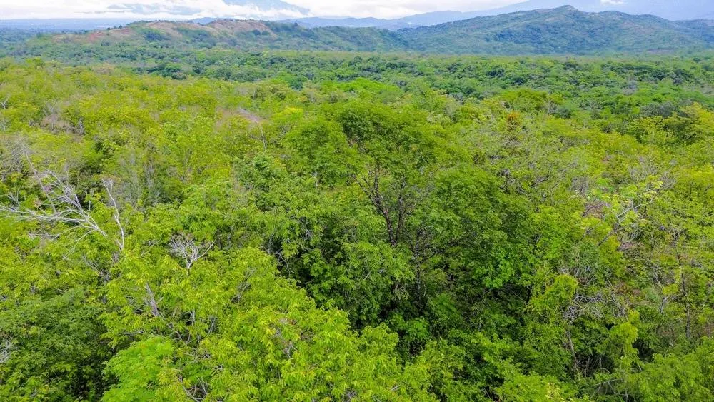 Terreno de 1 Hectárea en venta en Bijagual, Gualaca