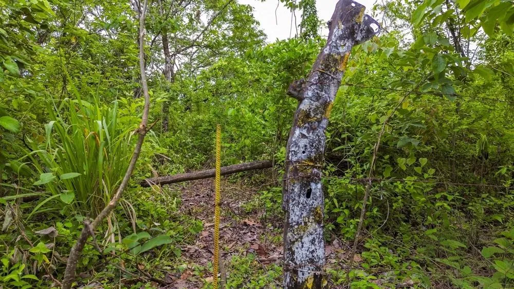 Terreno de 1 Hectárea en venta en Bijagual, Gualaca