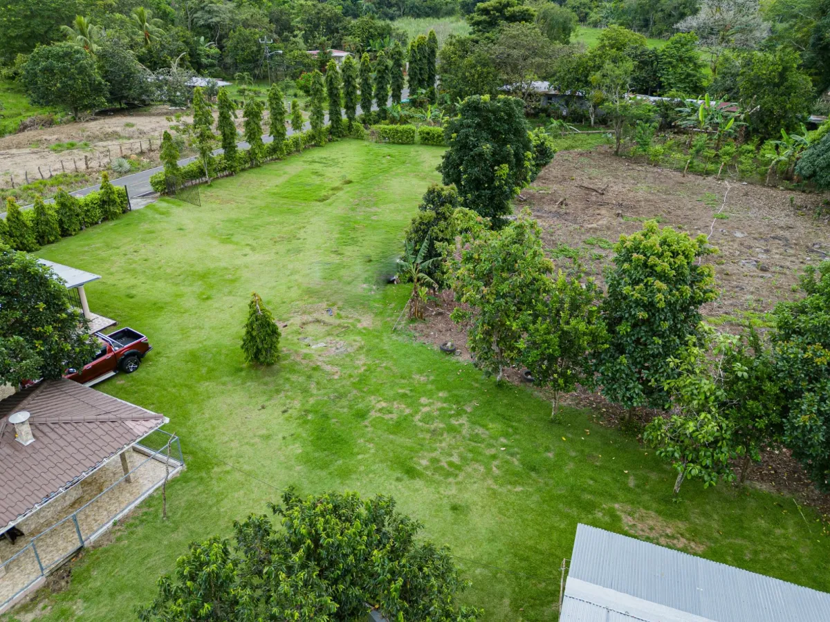 Farm with House for Sale–Cerro Colorado, Boquerón
