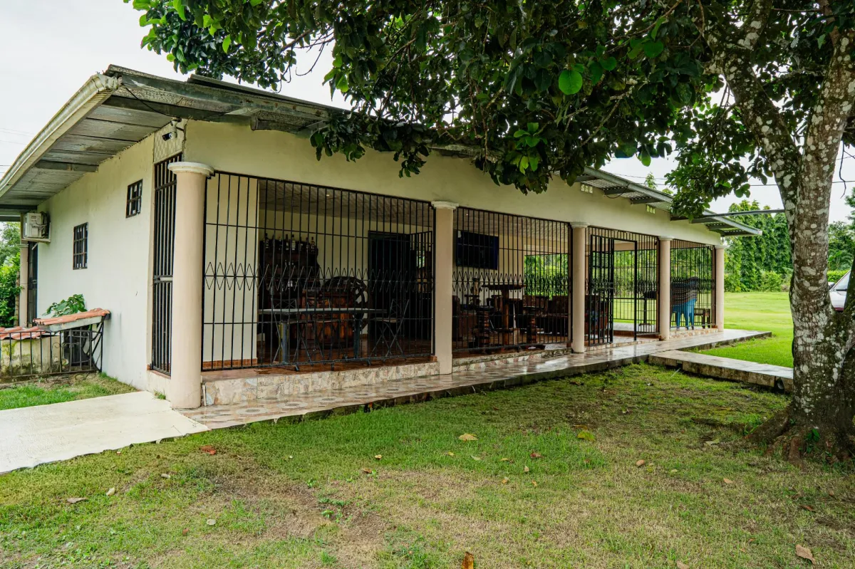 Farm with House for Sale–Cerro Colorado, Boquerón
