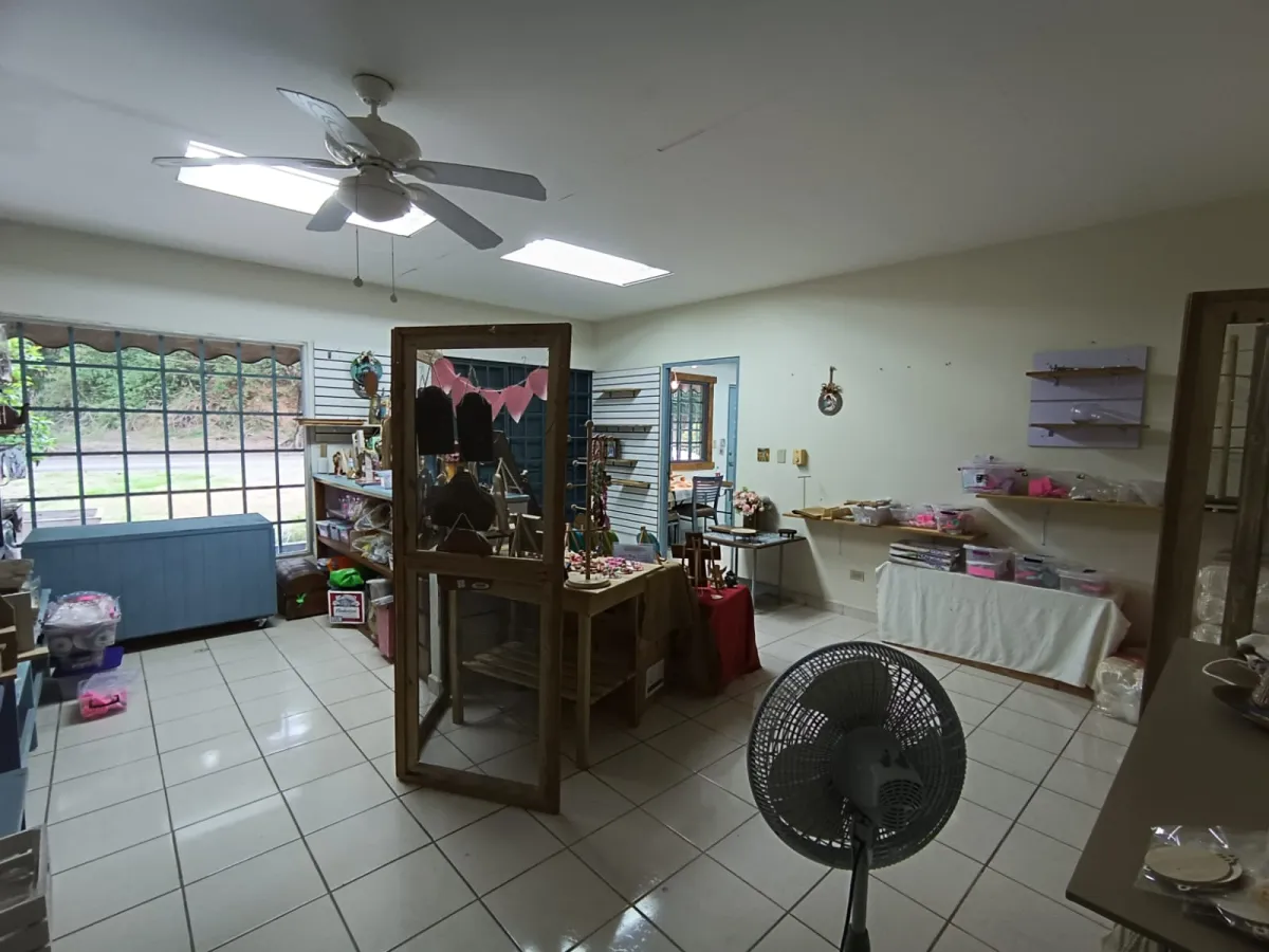 Commercial Space for Rent on Via Boquete David
