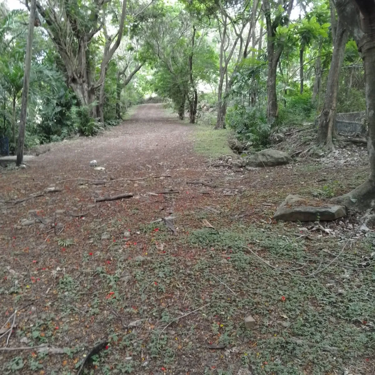 Terrain à bâtir à Veracruz à vendre