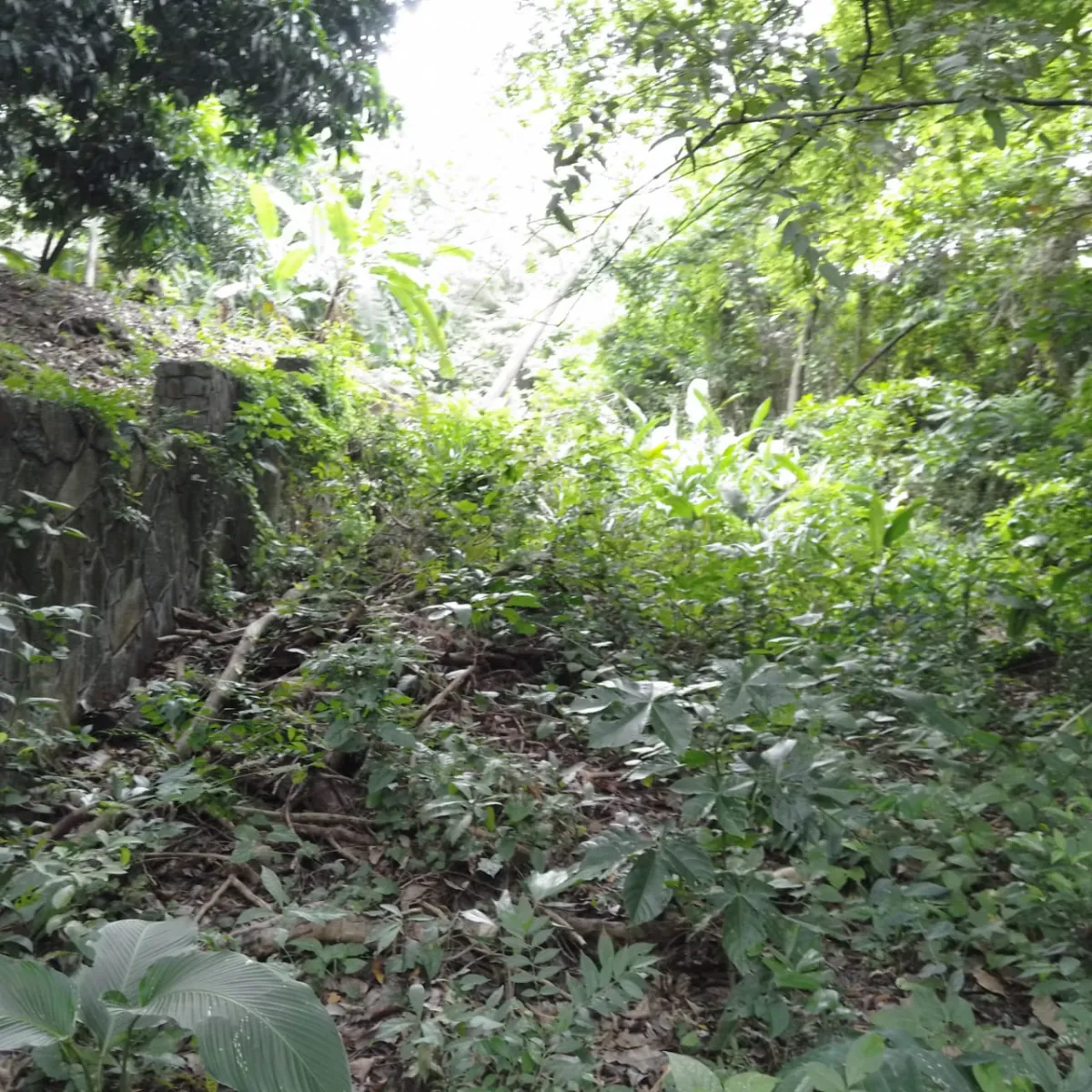 Terrain à bâtir à Veracruz à vendre