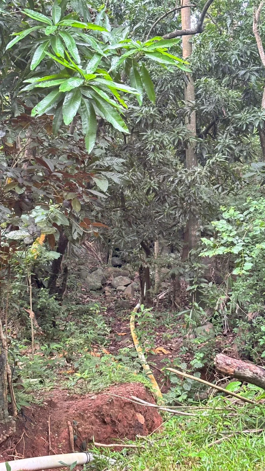 Terrain à bâtir à Veracruz à vendre