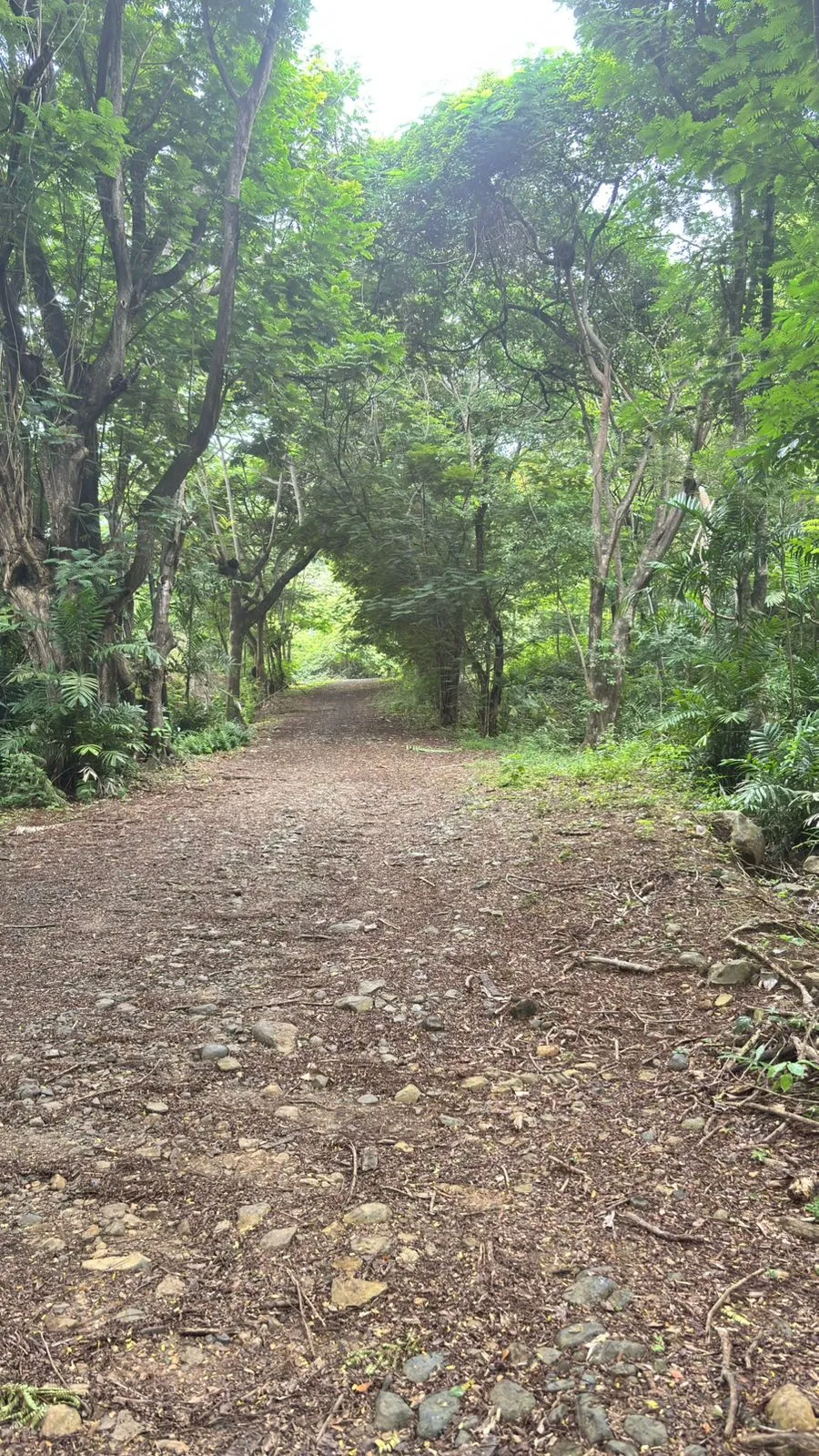 Terrain à bâtir à Veracruz à vendre