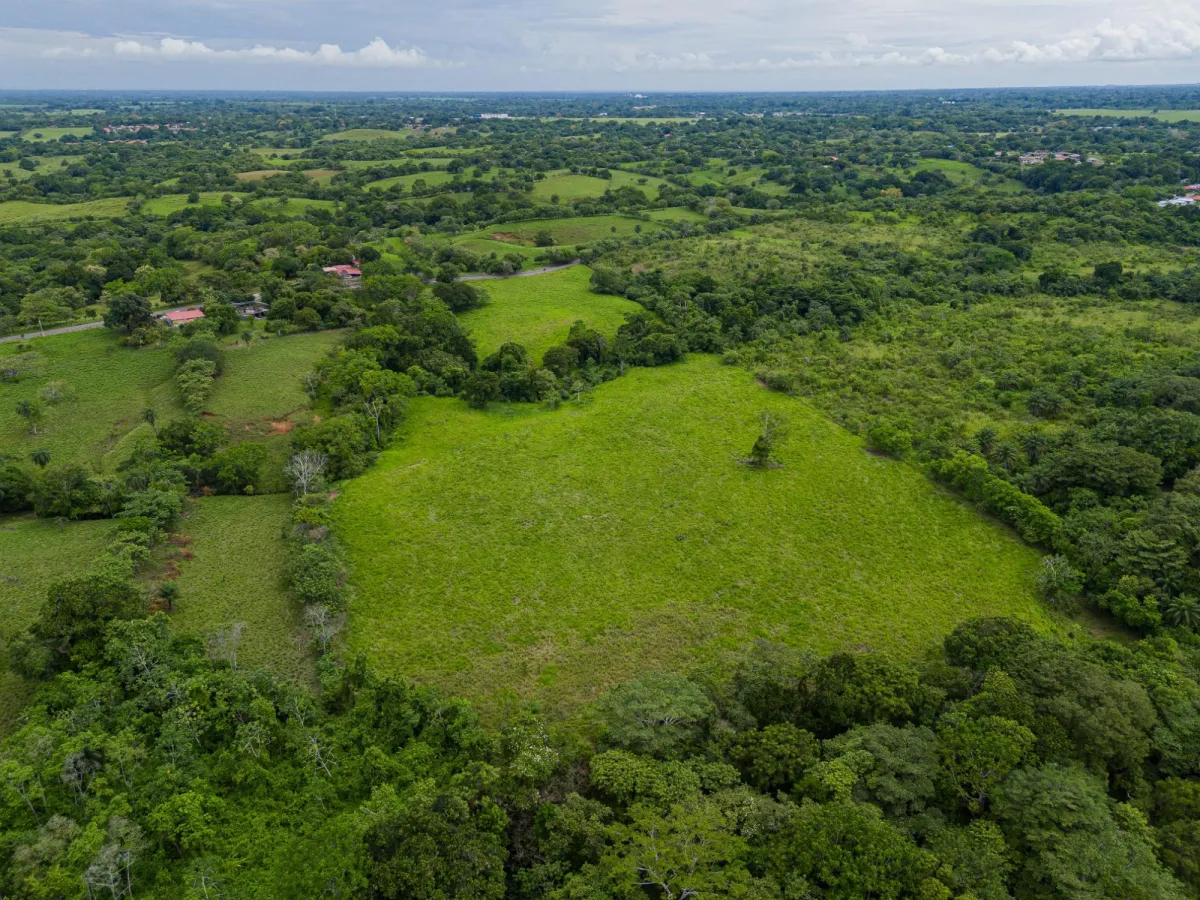 Land with high development potential for sale