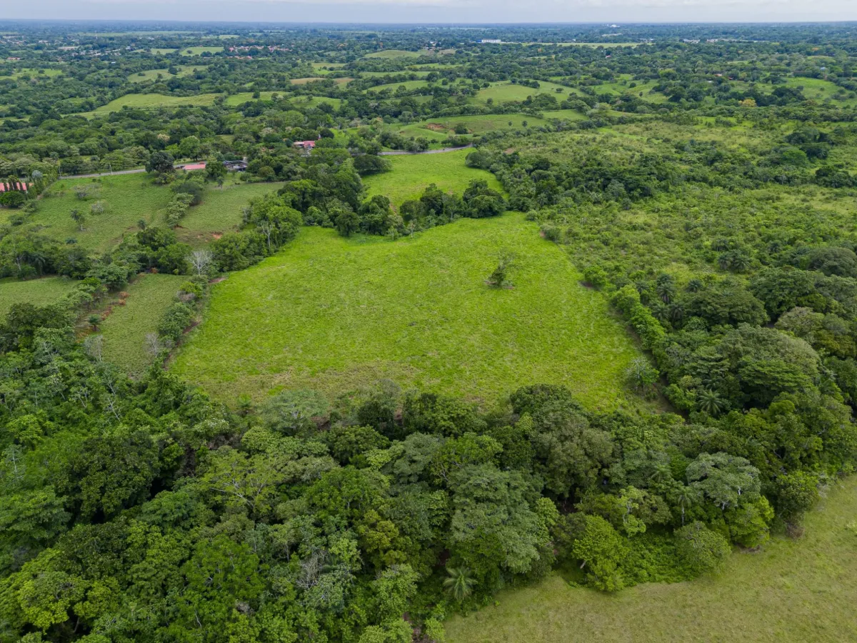 Land with high development potential for sale