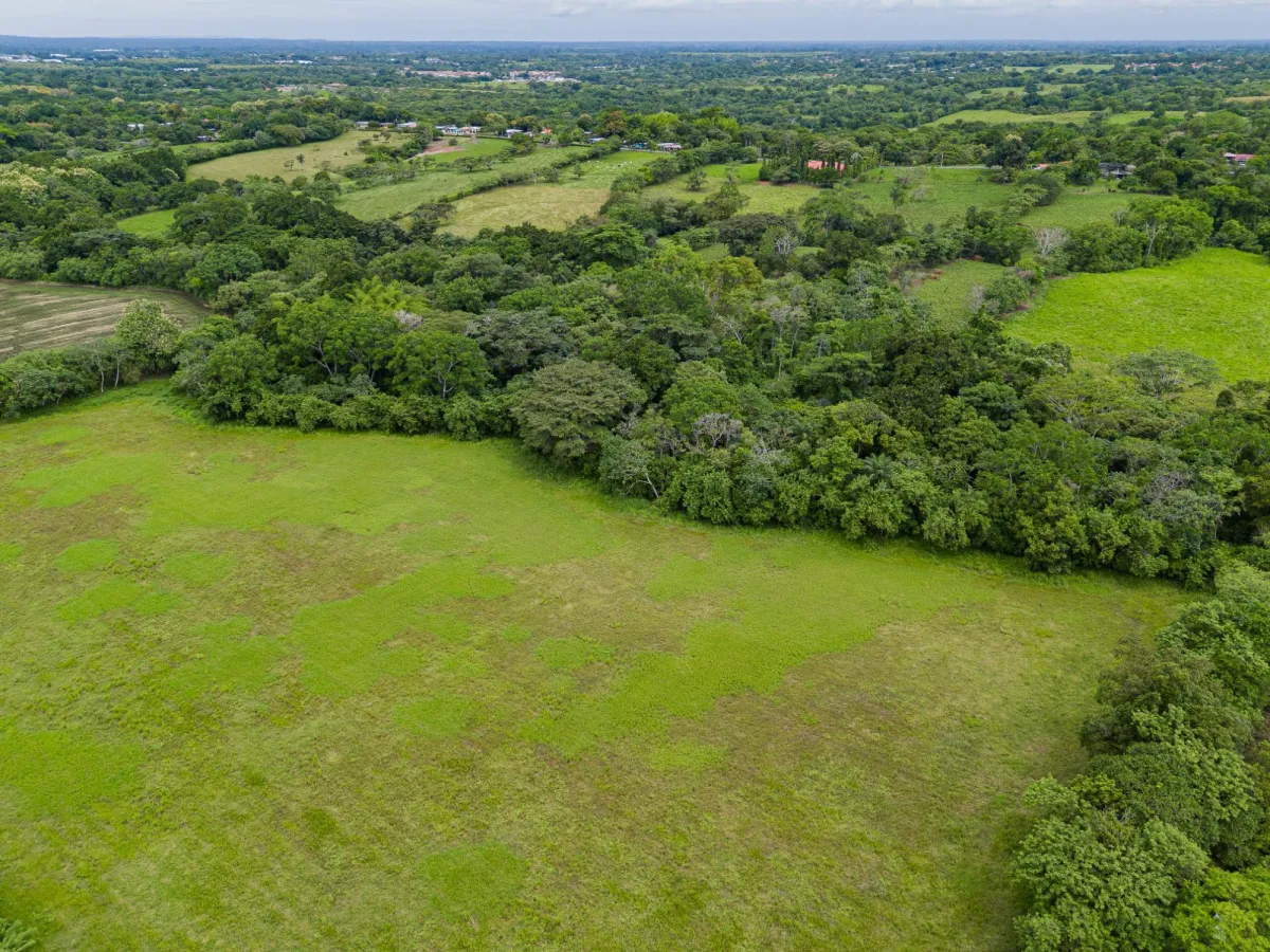 Land with high development potential for sale