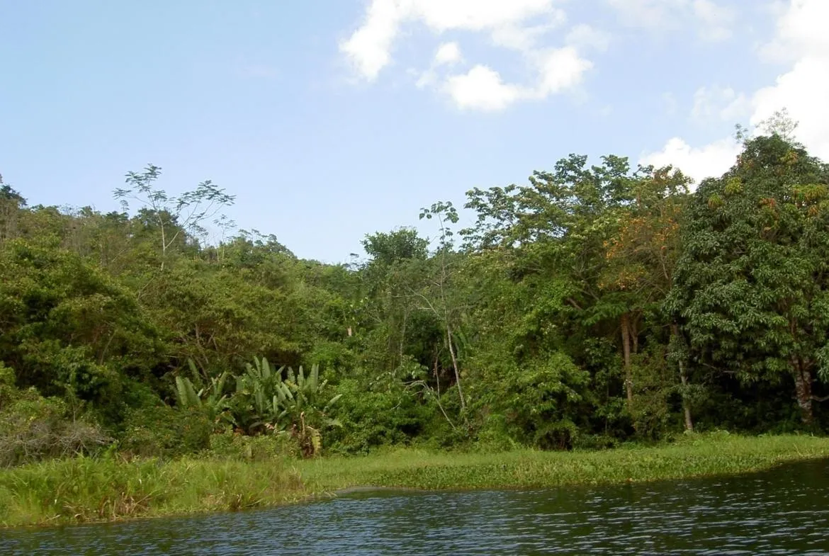 Farm for sale on the shores of Lake Gatún, Colón