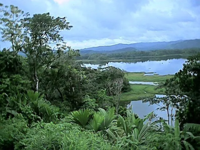 Farm for sale on the shores of Lake Gatún, Colón
