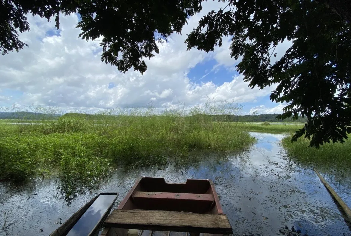 Farm for sale on the shores of Lake Gatún, Colón
