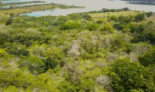 Extenso Terreno en La Mendoza, Chorrera