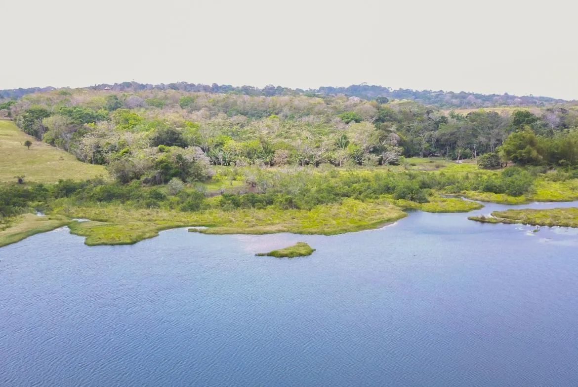 Extenso Terreno en La Mendoza, Chorrera
