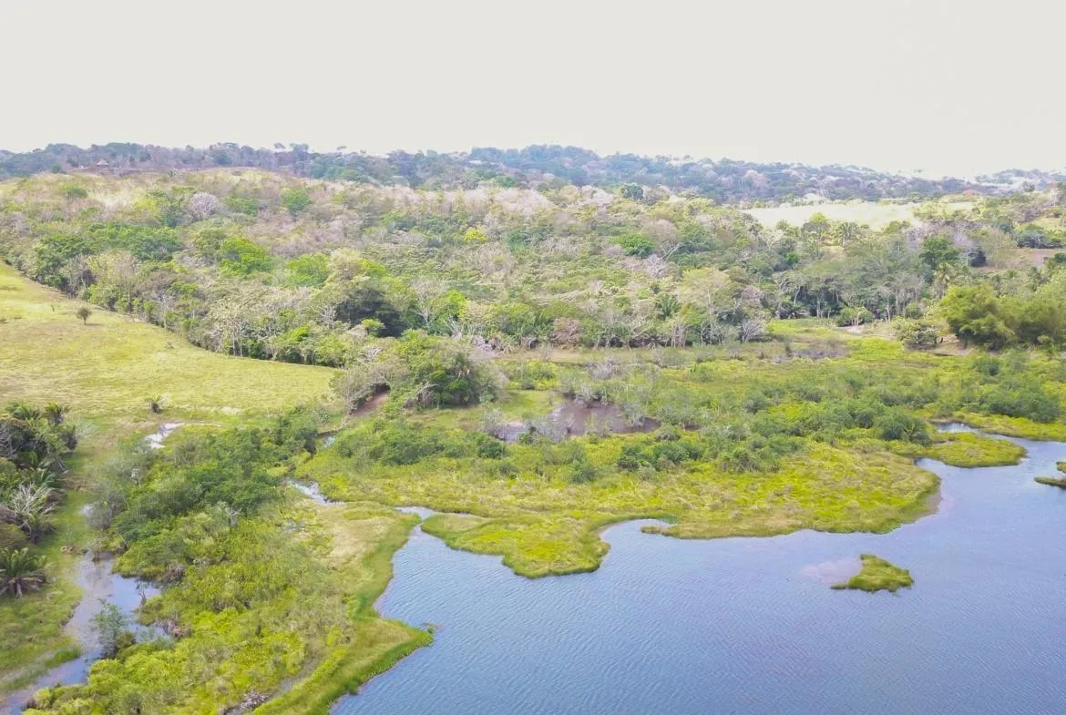 Extenso Terreno en La Mendoza, Chorrera