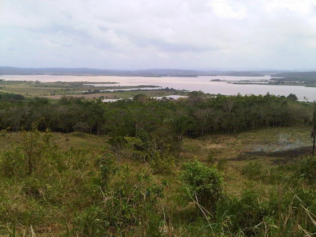 Extenso Terreno en La Mendoza, Chorrera