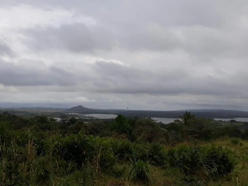 Extenso Terreno en La Mendoza, Chorrera