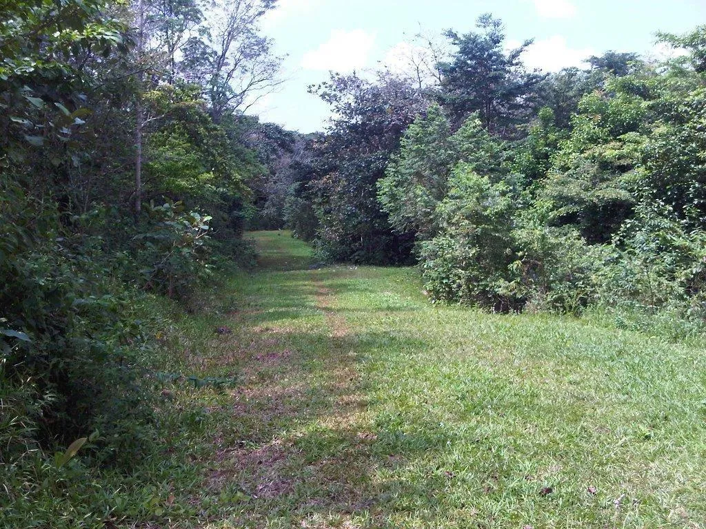 Extenso Terreno en La Mendoza, Chorrera