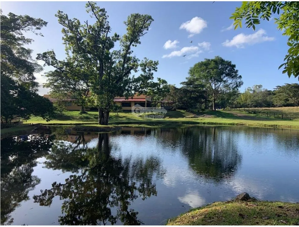Terre / Ferme à Panama à vendre