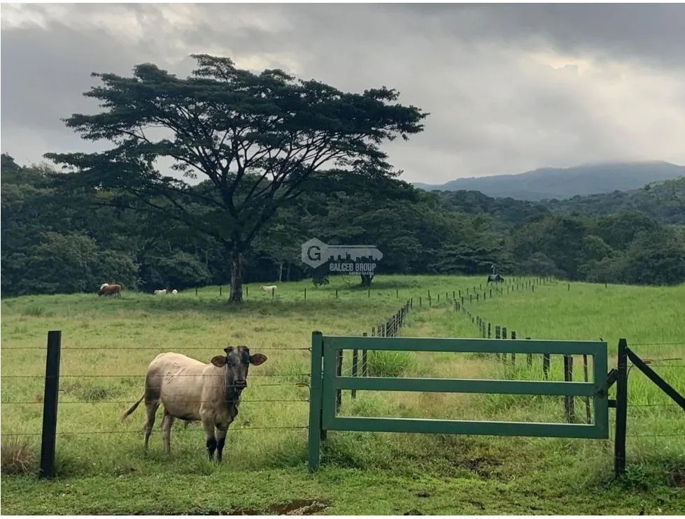 Terre / Ferme à Panama à vendre