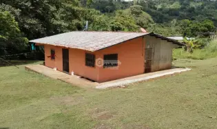 LAND / COLON / BUENA VISTA / 16570M² / WITH 2 HOUSES / ON MAIN AVENUE