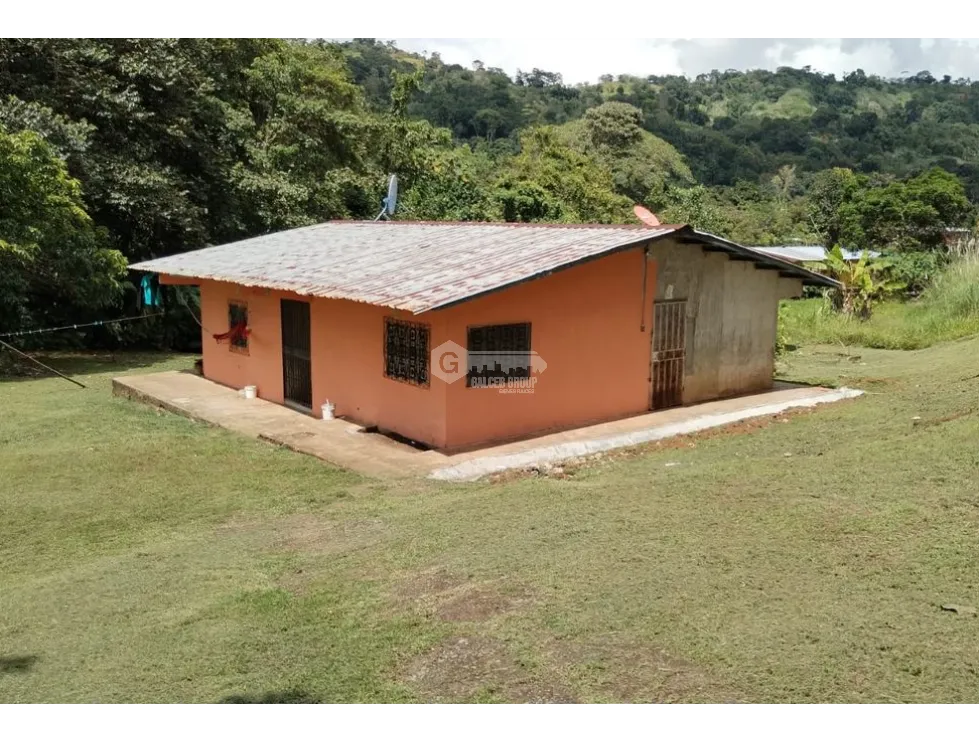 LAND / COLON / BUENA VISTA / 16570M² / WITH 2 HOUSES / ON MAIN AVENUE