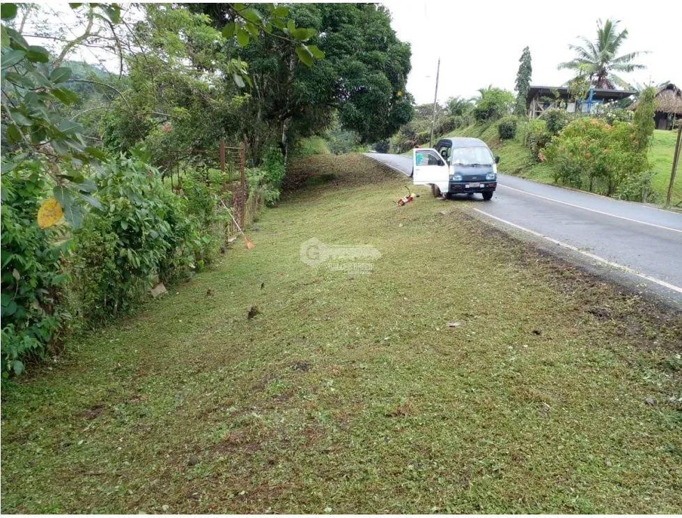 LAND / COLON / BUENA VISTA / 16570M² / WITH 2 HOUSES / ON MAIN AVENUE