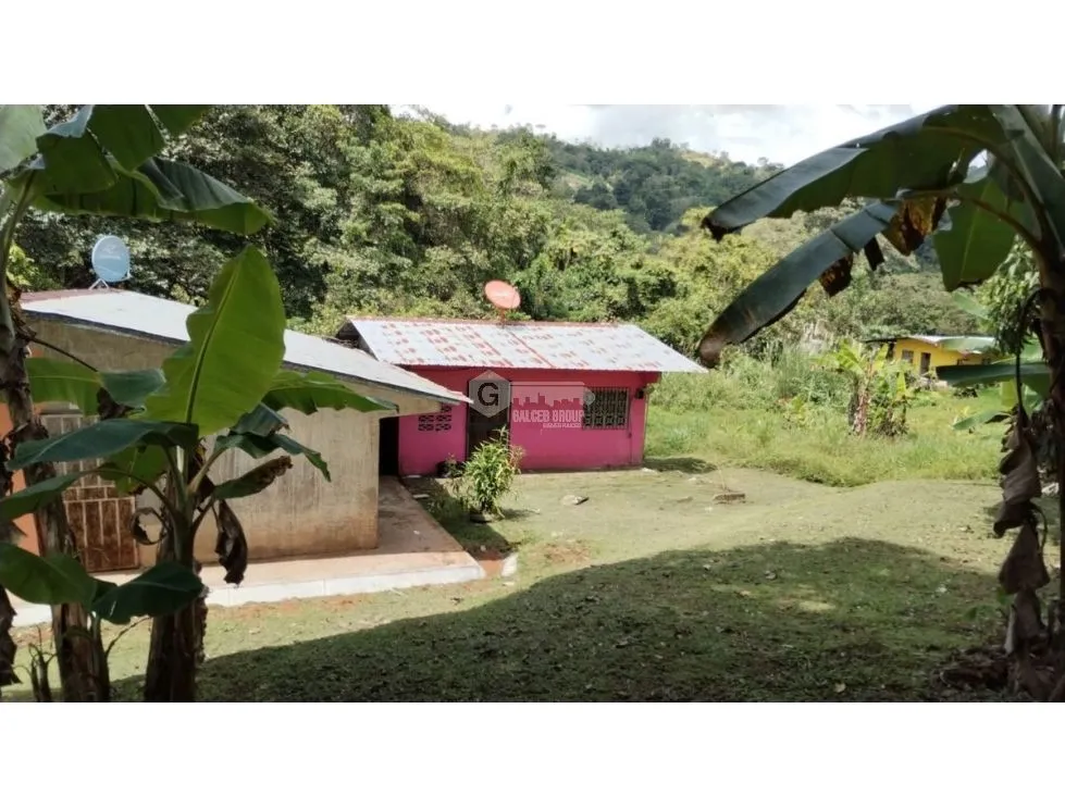 LAND / COLON / BUENA VISTA / 16570M² / WITH 2 HOUSES / ON MAIN AVENUE