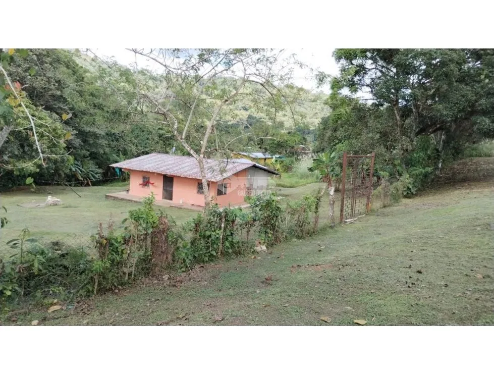 LAND / COLON / BUENA VISTA / 16570M² / WITH 2 HOUSES / ON MAIN AVENUE