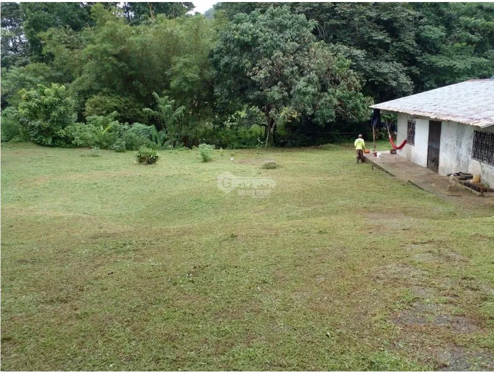 LAND / COLON / BUENA VISTA / 16570M² / WITH 2 HOUSES / ON MAIN AVENUE