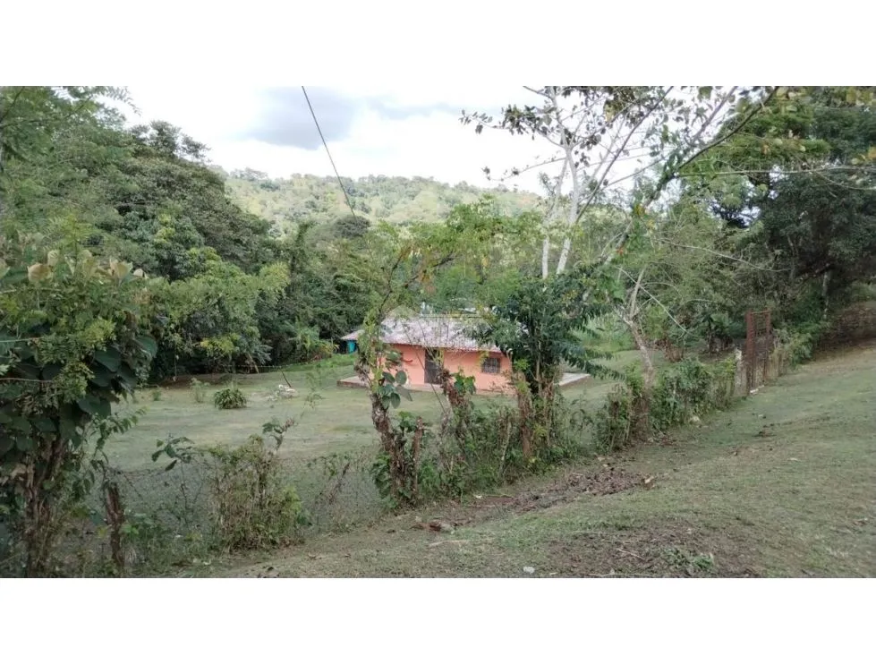 LAND / COLON / BUENA VISTA / 16570M² / WITH 2 HOUSES / ON MAIN AVENUE