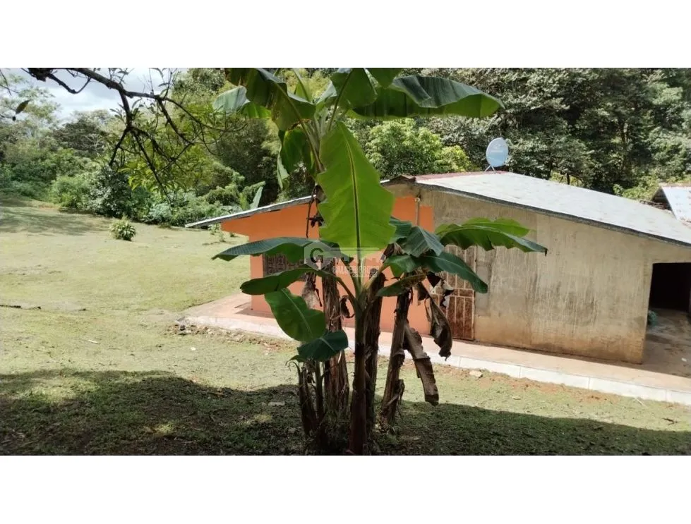 LAND / COLON / BUENA VISTA / 16570M² / WITH 2 HOUSES / ON MAIN AVENUE