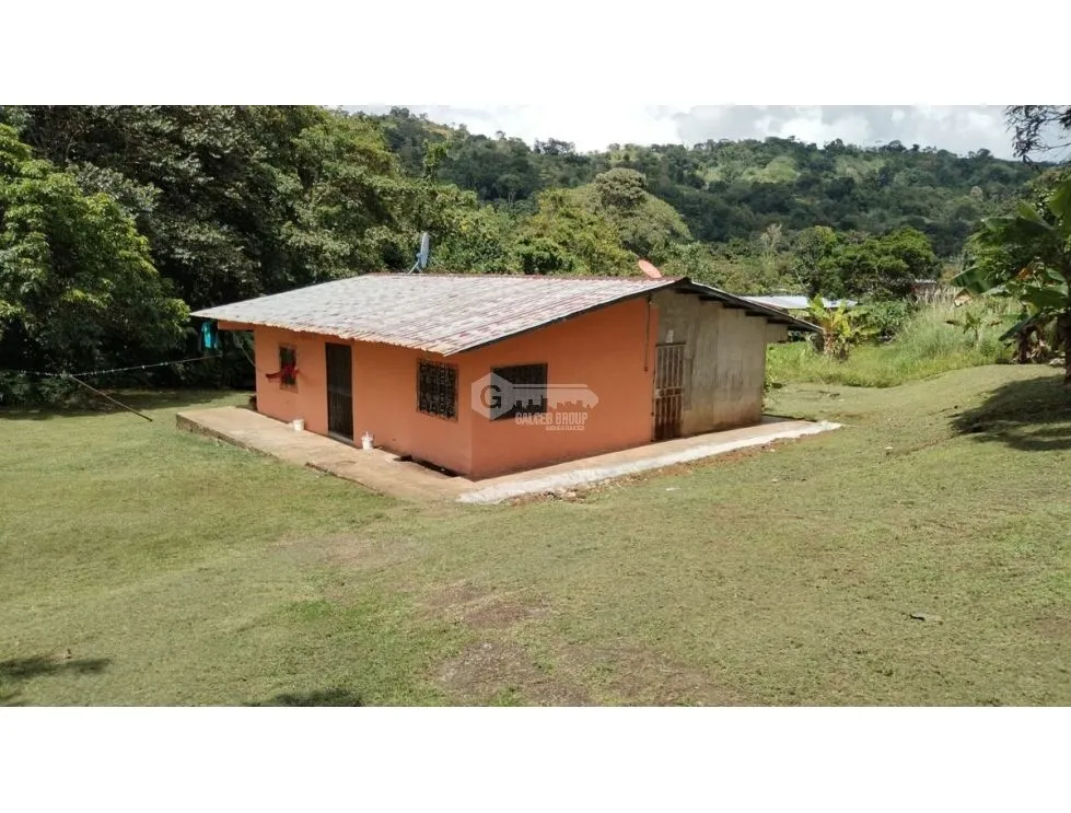 LAND / COLON / BUENA VISTA / 16570M² / WITH 2 HOUSES / ON MAIN AVENUE