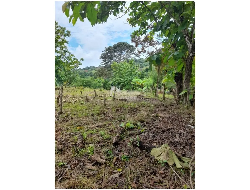 LAND / COLON / BUENA VISTA / 16570M² / WITH 2 HOUSES / ON MAIN AVENUE