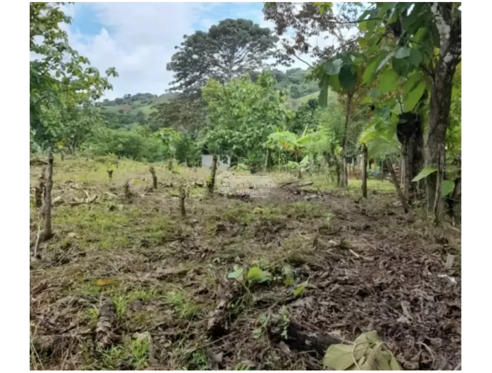 LAND / COLON / BUENA VISTA / 16570M² / WITH 2 HOUSES / ON MAIN AVENUE