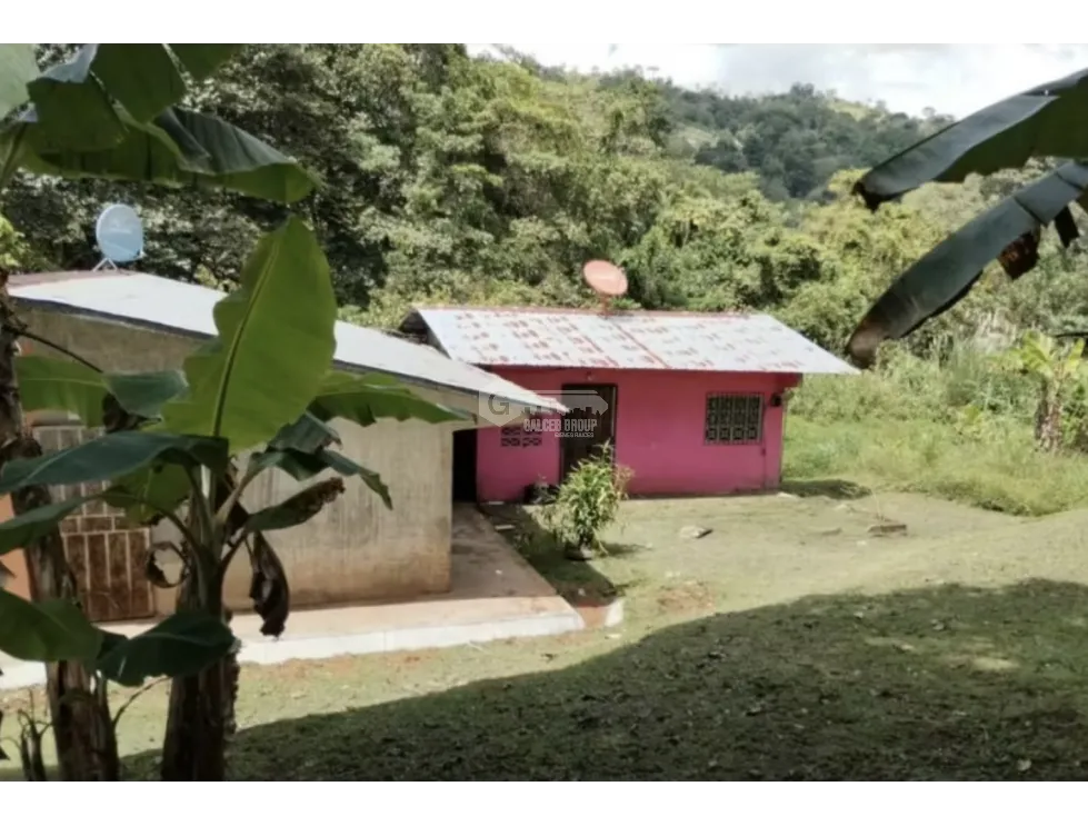 LAND / COLON / BUENA VISTA / 16570M² / WITH 2 HOUSES / ON MAIN AVENUE